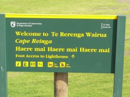 cape-rerenga-weirua-001