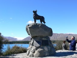 church-of-good-sheppard-lake-tekapo-010