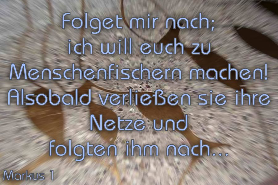CuF Webstart 2020 002