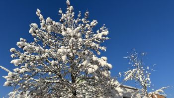 Winter 2023 001