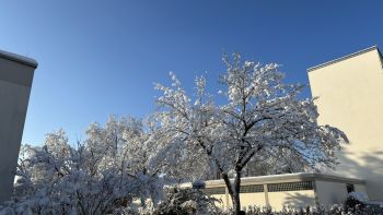 Winter 2023 002