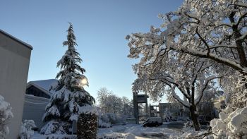 Winter 2023 003