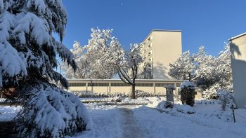 Winter 2023 004