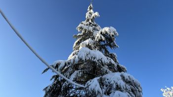 Winter 2023 005